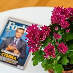 Avion - Self Check In 3* Пловдив