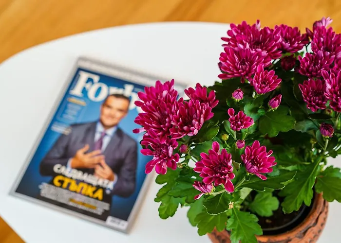 Avion - Self Check In 3* 普罗夫迪夫