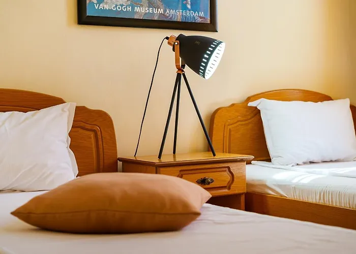 Avion - Self Check In 普罗夫迪夫