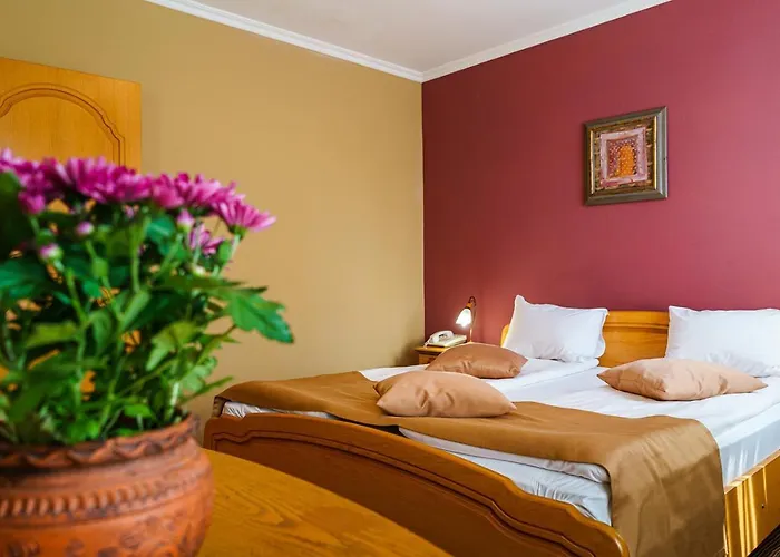 Avion - Self Check In 普罗夫迪夫