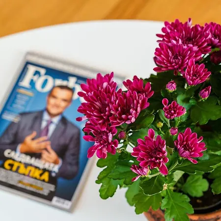 Avion - Self Check In 3* Plovdiv