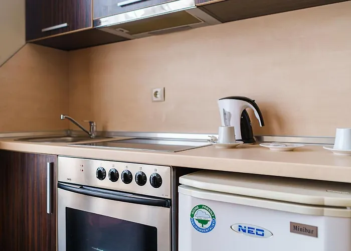 Avion - Self Check In פלובדיב