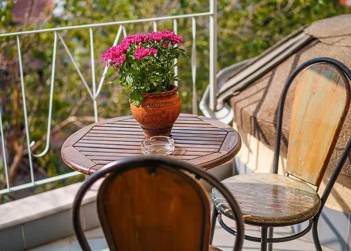 Avion - Self Check In 3*