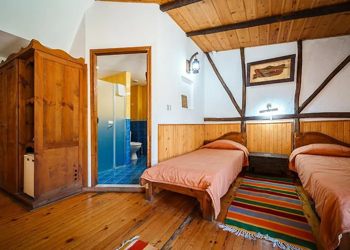 Avion - Self Check In פלובדיב